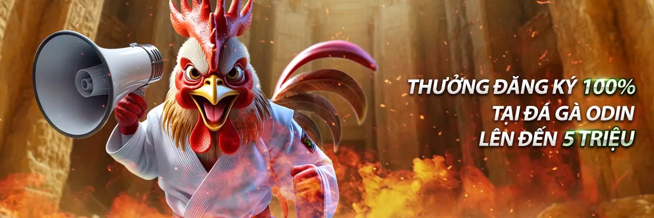 Đội ngũ hỗ trợ khách hàng sodo14 chuyên nghiệp